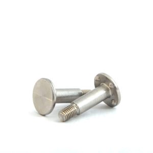 Dimple Bolt