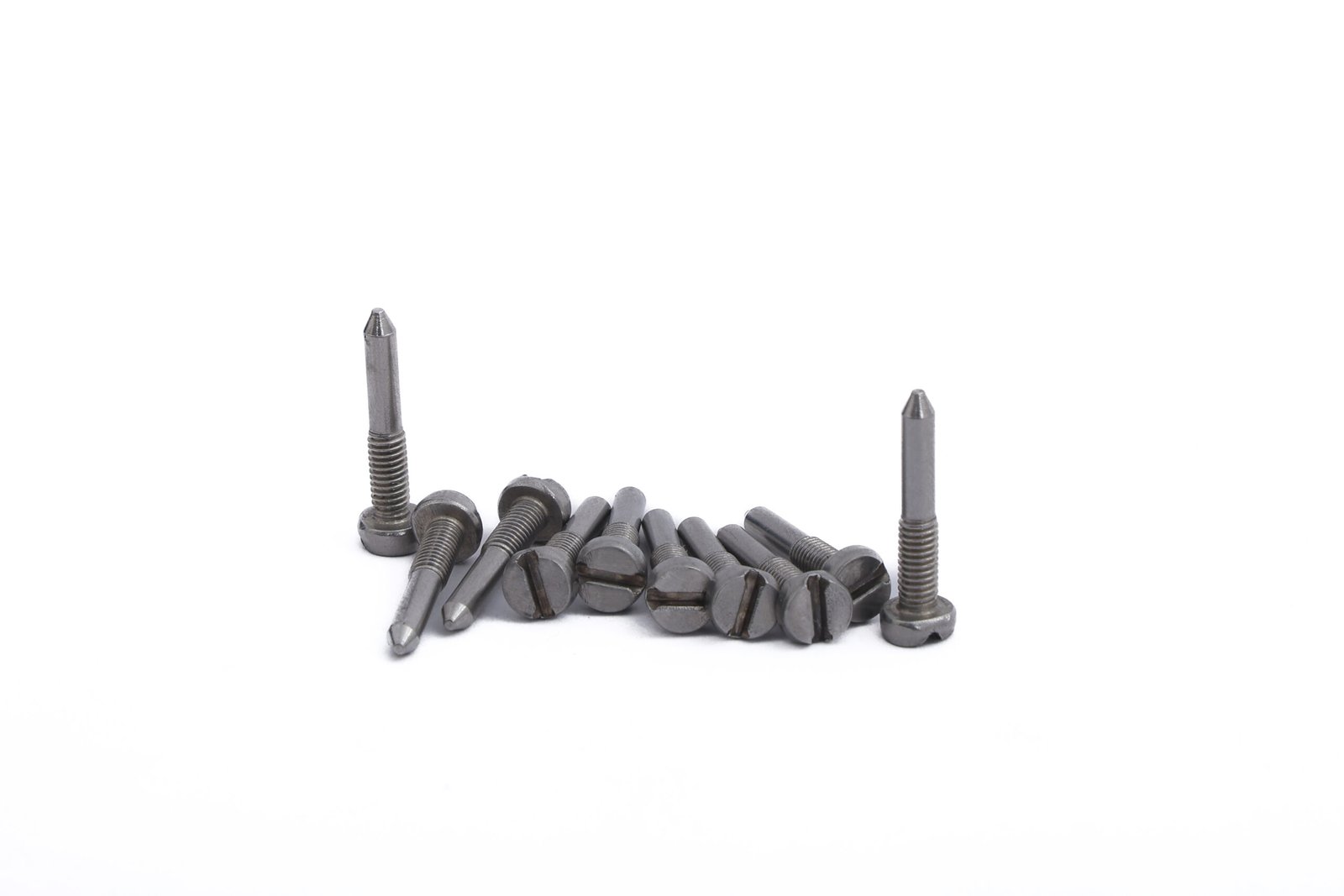 slooted-cheese-head-with-dog-point-2